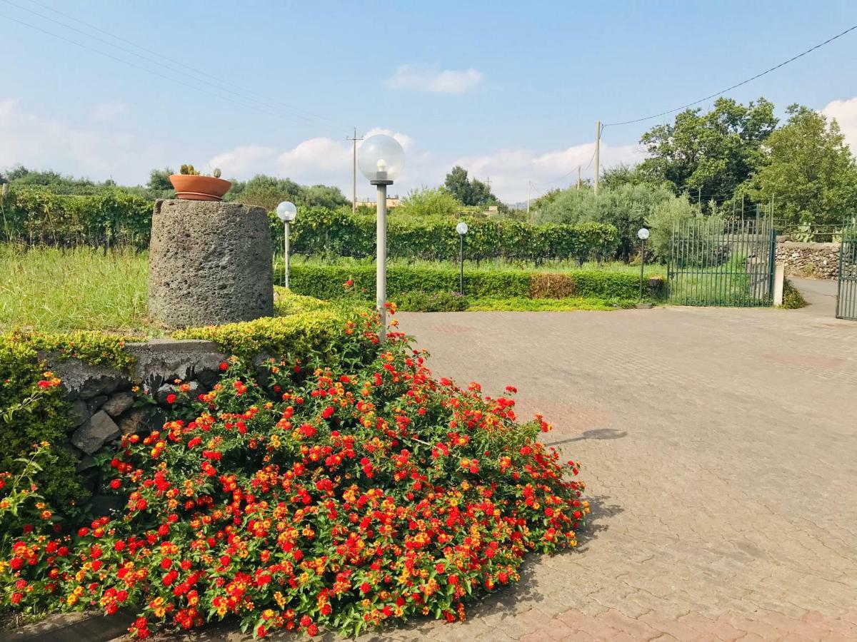 דירות פיידימונטה אטנאו Camia Etna House מראה חיצוני תמונה